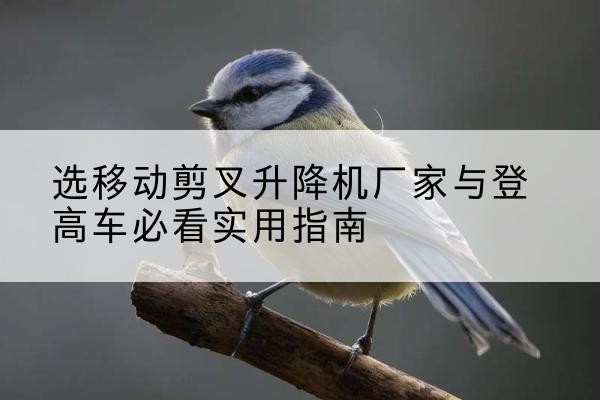 大同电动升降机厂家-选移动剪叉升降机厂家与登高车必看实用指南