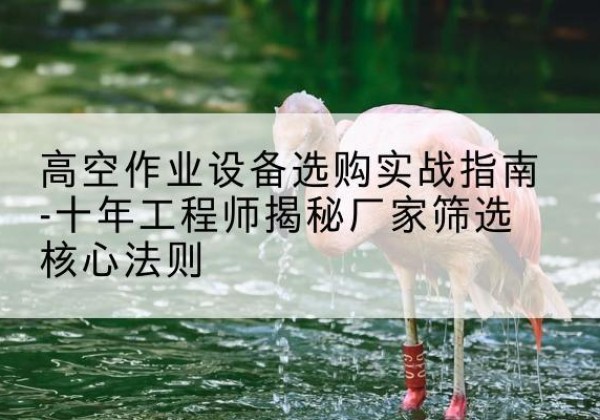 大同剪叉式升降机厂家-高空作业设备选购实战指南-十年工程师揭秘厂家筛选核心法则